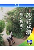 河瀨直美婉約精選:萌之朱雀(1997)+沙羅雙樹(2003)(2BD)(25G藍光)