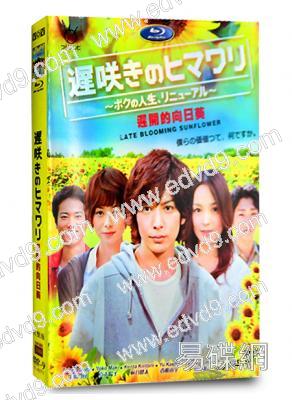 遲開的向日葵～我的人生、重生記