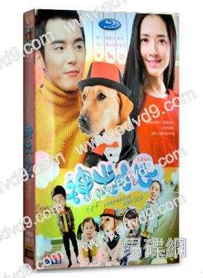 神犬小七