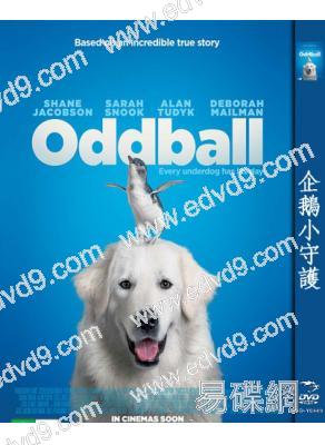 企鵝小守護Oddball 