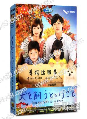 養狗這回事