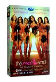 拉字至上真人秀第一季 The Real L Word 1