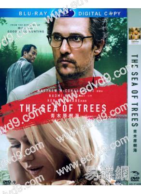 青木原樹海Sea of Trees