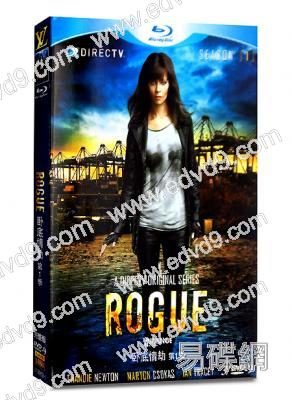 臥底情劫第一季Rogue 1