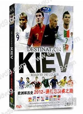歐洲杯歷史 2012-通往總決賽之路