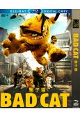 (特價)痞子貓 Bad Cat
