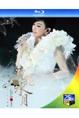 江蕙2013鏡花水月演唱會(25G藍光)