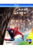 超凡蜘蛛俠2:決戰電魔(25G藍光)