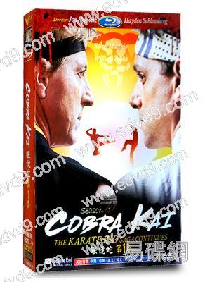 眼鏡蛇第一季 Cobra Kai Season 1