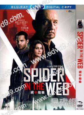 網中蜘蛛 Spider In The Web