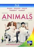 都柏林動物Animals(25G藍光)