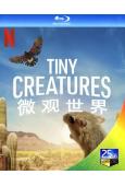 微觀世界Tiny Creatures(2020)(紀錄片)(...