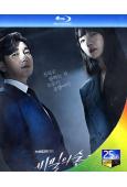 秘密森林2(2020)(曹承佑 裴鬥娜)(3BD)(25G藍...