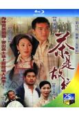 茶是故鄉濃(1999)(張可頤 麥長青)(2BD)(25G藍...