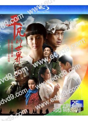 平凡的世界(2015)(佟麗婭 袁弘)(3BD)(25G藍光)