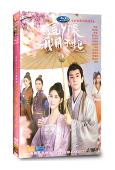 這丫環我用不起(2021)(鄭湫泓 王潤澤)(4片裝)