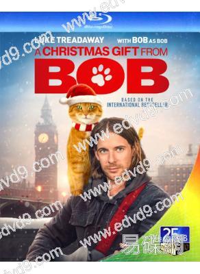 再見街貓BOB/流浪貓鮑勃2:鮑勃的禮物(2020)(25G藍光)