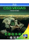 犯罪現場調查:維加斯 第一季 CSI: Vegas 1 (2...