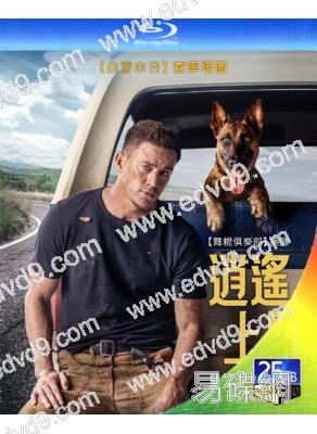 逍遙上路/忠犬 Dog (2022)(25G藍光)