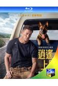 逍遙上路/忠犬 Dog (2022)(25G藍光)