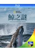 鯨之謎/鯨魚的秘密(2021)(紀錄片)(2BD)(25G藍光)
