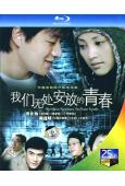 我們無處安放的青春(2007)(陳道明 佟大為)(2BD)(...