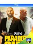 天堂城 Paradise City (2022)(布魯斯·威...