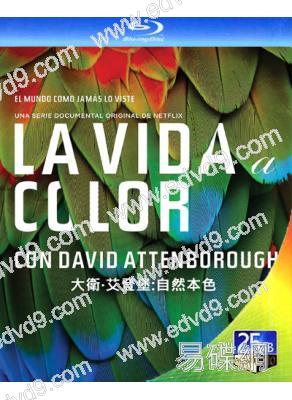 大衛·艾登堡:自然本色/多彩生活(2021)(紀錄片)(1BD)(25G藍光)
