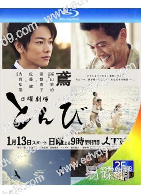 鳶(2013)(內野聖陽 佐藤健)(2BD)(25G藍光)