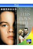 這個男孩的生活/衝上碧雲天(1993)(萊昂納多·迪卡普裏奧)(25G藍光)(經典重發)