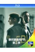 聯邦調查局FBI 第二季 FBI Season 2 (201...