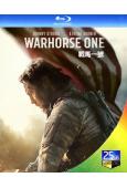 戰馬一號 Warhorse One (2023)(25G藍光...