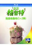 我是格魯特/我是樹人(1+2季)(2022-2023)(動漫劇)(1BD)(25G藍光)