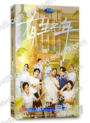 (59屆金鐘最佳劇集)有生之年(2023)(吳慷仁 鄭元暢)(台劇)(高清4片裝)