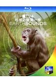 地球之聲 Earthsounds 第一季(2024)(紀錄片...