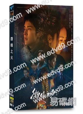 微暗之火(2024)(童瑤 張新成)(高清5片裝)