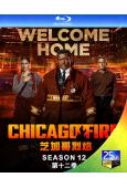 芝加哥烈焰Chicago Fire 第十二季(2BD)(25G藍光)