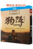 狗陣(2024)(彭於晏 佟麗婭)(25G藍光)