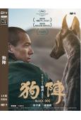 狗陣(2024)(彭於晏 佟麗婭)(高清獨家版)