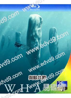 與鯨共舞 第一季(2024)(紀錄片)(1BD)(25G藍光)
