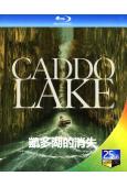 凱多湖的消失(2024)(迪倫·奧布萊恩)(懸疑)(25G藍...
