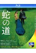 蛇之道(2024)(柴崎幸 西島秀俊)(法日合拍)(25G藍...