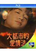 大都市愛情法(2024)(南潤壽 李秀卿)(2BD)(25G...