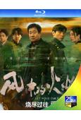風中的火焰(2024)(王景春 蔣奇明)(2024)(3BD...