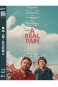 (金球獎最佳男配角)跳痛之旅/真正的痛苦/深痛導賞團(2024)(高清獨家版)