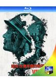 越南:改變美國的戰爭(2025)(記錄片)(2BD)(25G...