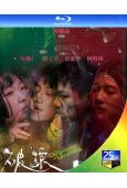 破浪男女(2024)(吳慷仁)(超大尺度)(25G藍光)