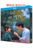 白色橄欖樹(2025)(陳哲遠 梁潔)(4BD)(25G藍光...