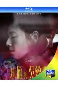 (金馬獎最佳女配角)小雁與吳愛麗(2024)(台影)(25G...