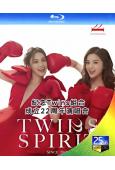 紀念Twins組合成立22周年演唱會(2024)(2BD)(...